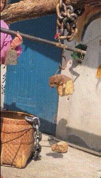 |搞笑GIF:冬天到了,地球有点冷,我给他烧点柴火