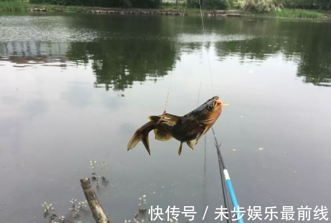 新手|退水该怎么钓鱼?老手和新手的区别就在这,看清楚了!