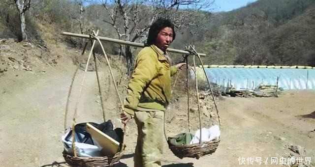 花光|北大教授王青松,携妻隐居深山12年,花光350万积蓄后来如何