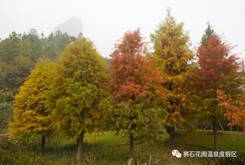 石城|美！江西竟然藏着这样的人间仙境，绝美景色令人窒息，市区出发仅2小时