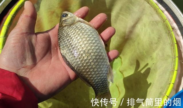钓鲫鱼怎样搭配线组钓鲫鱼该如何调漂钓鲫鱼的看漂抓口技巧!