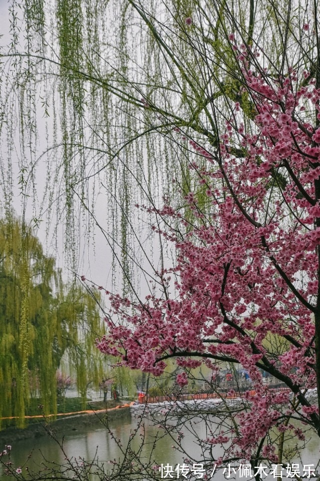 县学|夫子庙的贡院，建于宋朝时期，以前就是县学考试的场所