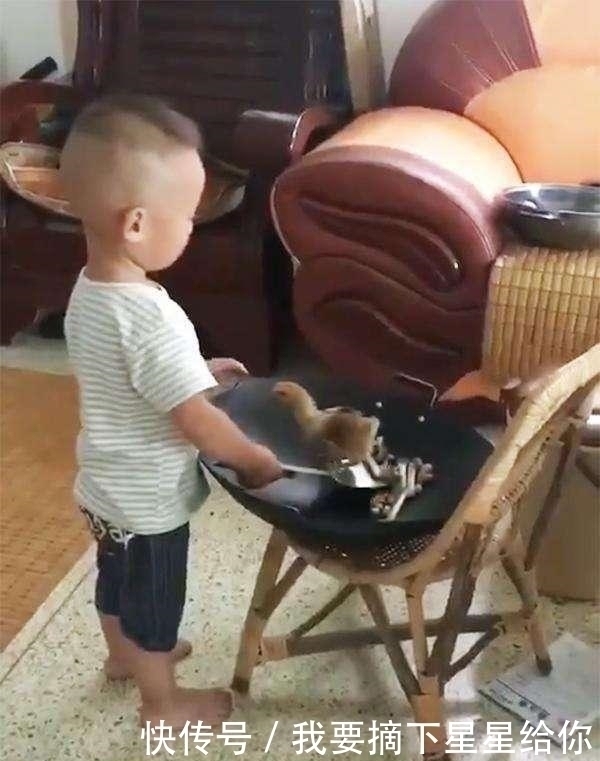 宝宝|3岁宝宝偷偷给妈妈做“小鸡炖蘑菇”,妈妈看到照片后乐坏了