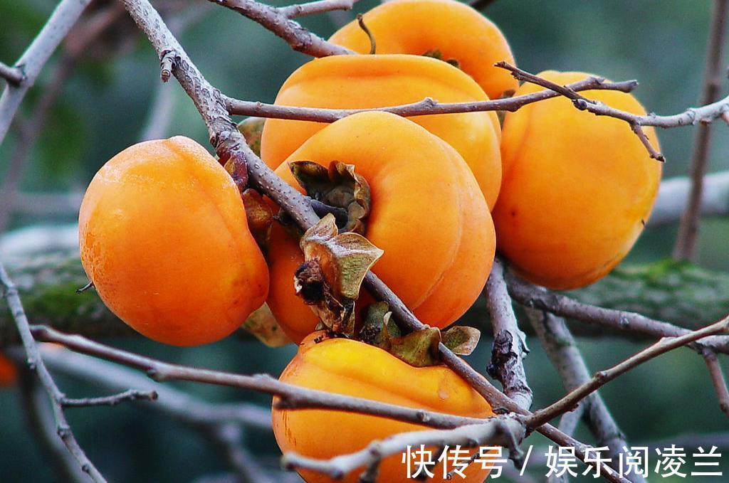 景象&十句秋诗:不叹愁绪,只言秋好!