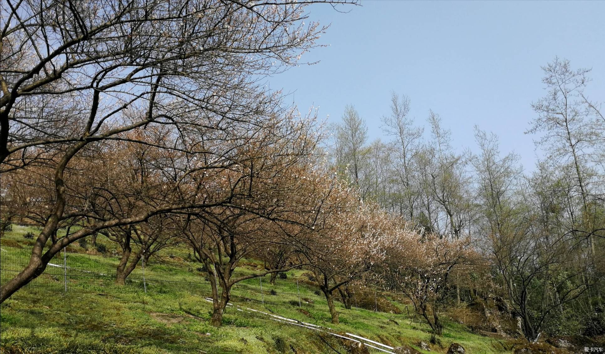 重游大坪山