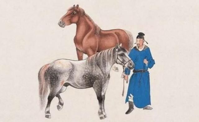 答错|“我辈岂是蓬蒿人”中“蓬蒿人”什么意思竟让诗词大会34人答错