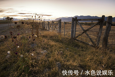 生肖|算命的说这三大生肖，最容易孤独终老，错过一生最爱