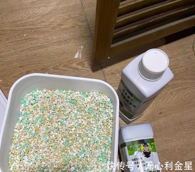 矾根|为了300㎡露台花园，毫不犹豫买了这房子，在城市屋顶过上田园生活！