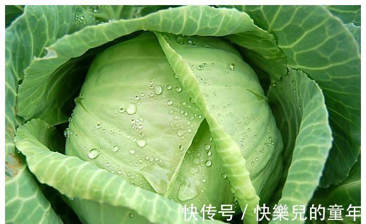 备孕|这10种食物是天然“叶酸”,备孕、怀孕的妈妈要多吃