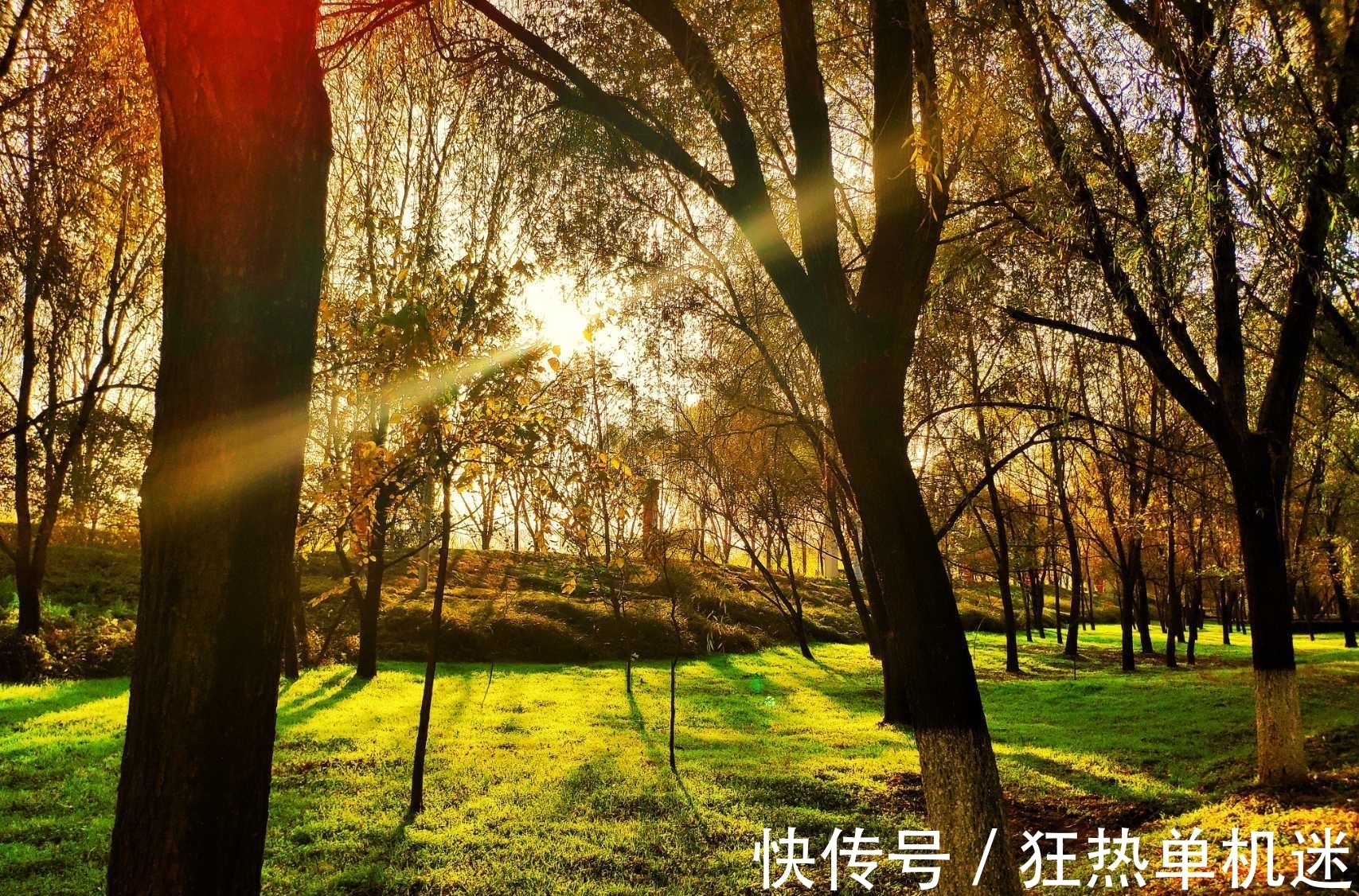 闻语#王安石赞美冬日暖阳,抒写了一首七律,清新质朴,愉悦中略带忧伤