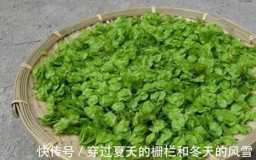 延缓衰老|聪明人爱吃3种食物,营养丰富、延缓衰老,好处多多