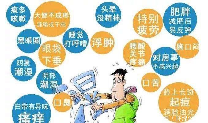 這種食物,是隱藏的“干燥劑”,若喜歡吃,排空體內(nèi)濕氣