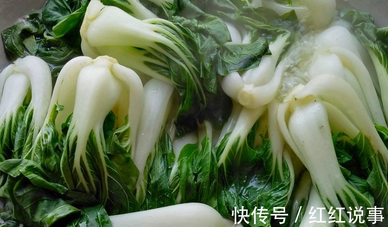 绿叶蔬菜|立秋以后，买上20斤小白菜晒一晒，冬天炖肉吃特别香，方法教给您！