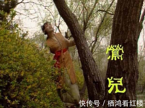 元春!薛家丫头,为什么敢折贾家的花儿,还自负“独我使得”?