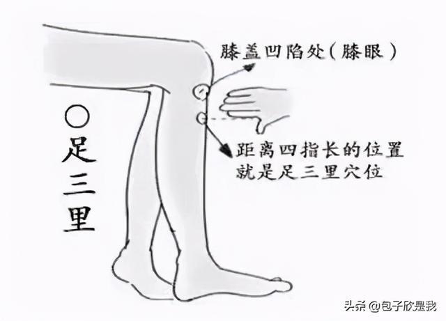 足三里穴|怎么帮助宝宝长高高学会这些,宝宝长高不愁