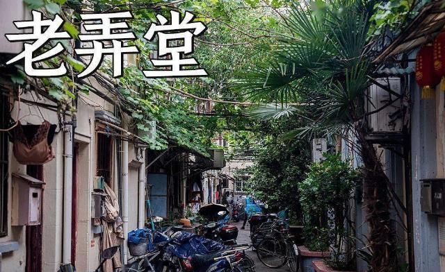 回忆杀卢湾区超嗲百年马路，上海人永远记得你