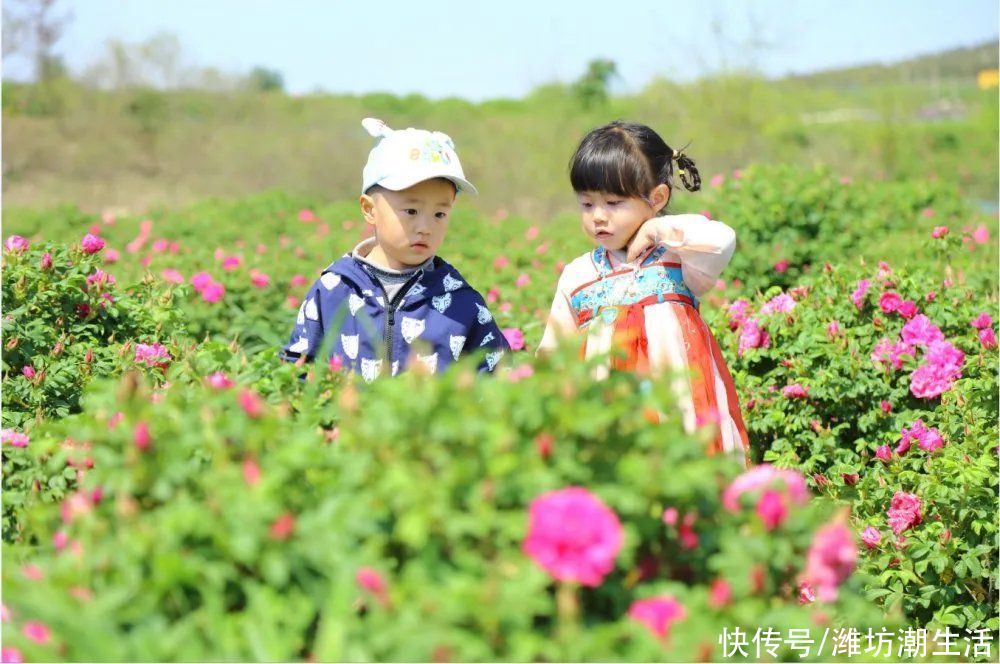 齐鲁酒地花海初绽放，假期遛娃忙 ~ 这个五一，就是玩儿