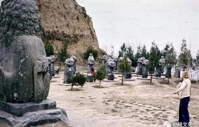 举世闻名|举世闻名的乾陵