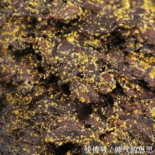 三高|李时珍称此物为金不换,每天吃一点,血管干净了,血脂也降下来