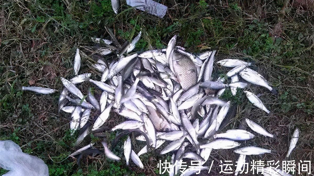 浮漂|用蚯蚓，不妨试试这两种方法，速度快、精度高，什么水域都能用