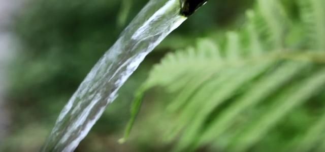 鼻子|男子反复咳血4年，医院一查，鼻子里躲着条小生命