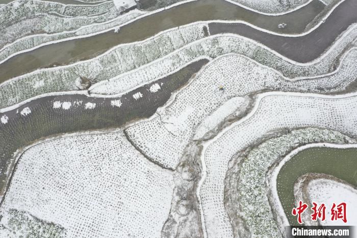 春雪|贵州春雪落梯田