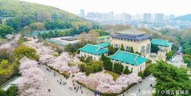 大唐|阳春三月,春回大地,三月赏花好去处