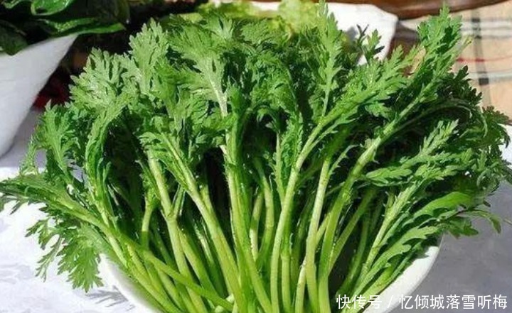 阳台上|“4种菜”养阳台,简单好养,随吃随摘,20天后蔬菜吃不完!