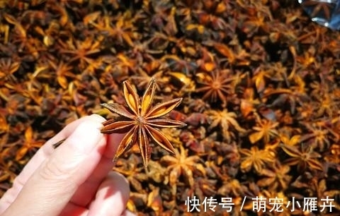 做菜|做菜时，如何才能激发八角最佳的“香味”？弄懂了你也转身变大厨