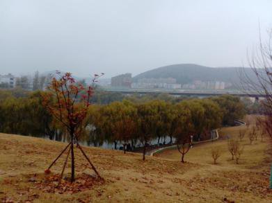 带你走进山东大学，在那里学习是什么样的体验