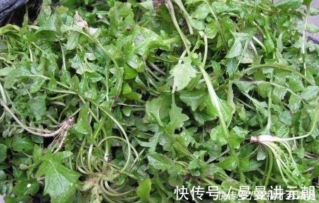 好吃|饺子馅用这个包!实在是太香了 瞬间好吃到爆
