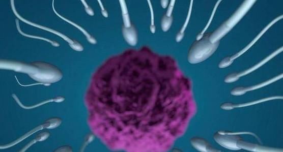 女方|人工授精女方需要满足什么条件 这四个细节很多人不知道!