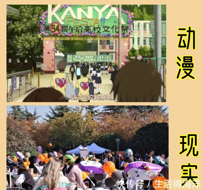 现实|日漫的桥段在现实中真的会发生，告白文化、文化祭，你还知道哪些