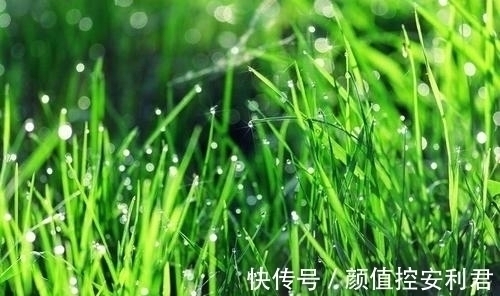 意气君@习练太极拳,要明白“意气君来骨肉臣”这句话的含义