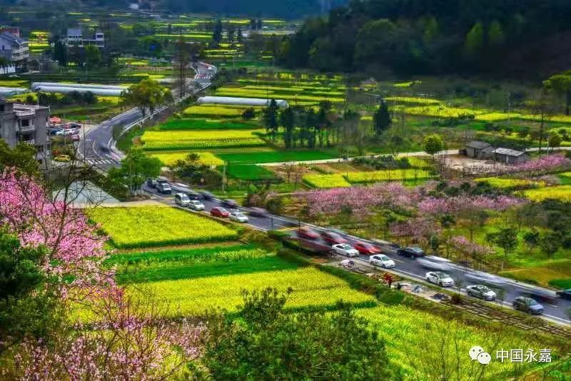 全域旅游示范区|890处监控、124个免费Wi-Fi...永嘉总投资4400万元建设！