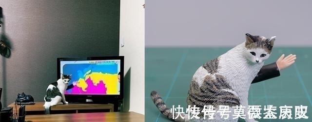 小猫|全球的猫都想屏蔽这个日本人,他到底做了多少沙雕手办?