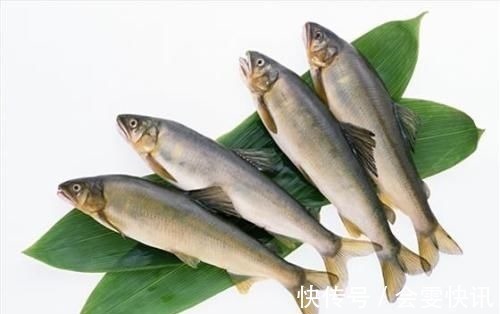 寄生虫|医生忠告:这几种鱼早该被“拉黑”了,多吃对身体有害无利