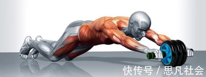 卷腹|五个动作全面提升腹肌水平,练出六块腹肌,搭配健腹轮效果翻倍