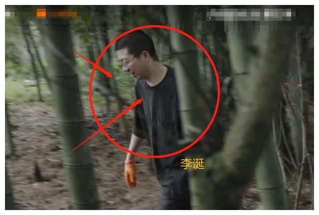 《向往》提前透露嘉宾，两位老熟人返场，这是要“打架”的节奏吧