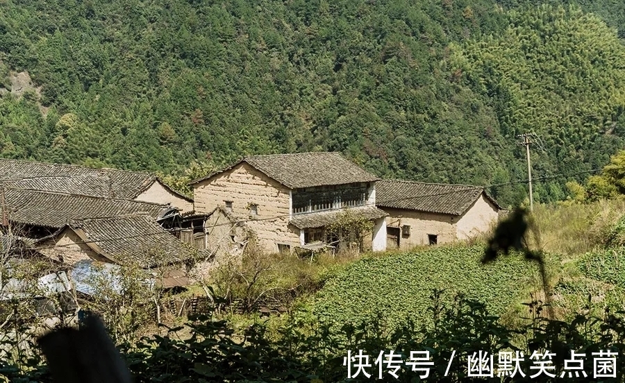 普通话|方言,正在死亡