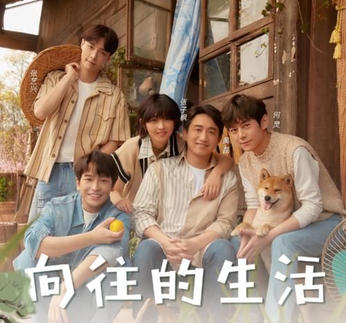 打扫|失去了节目滤镜,蘑菇屋变成另一种状态,满地落叶屋里堆满杂物