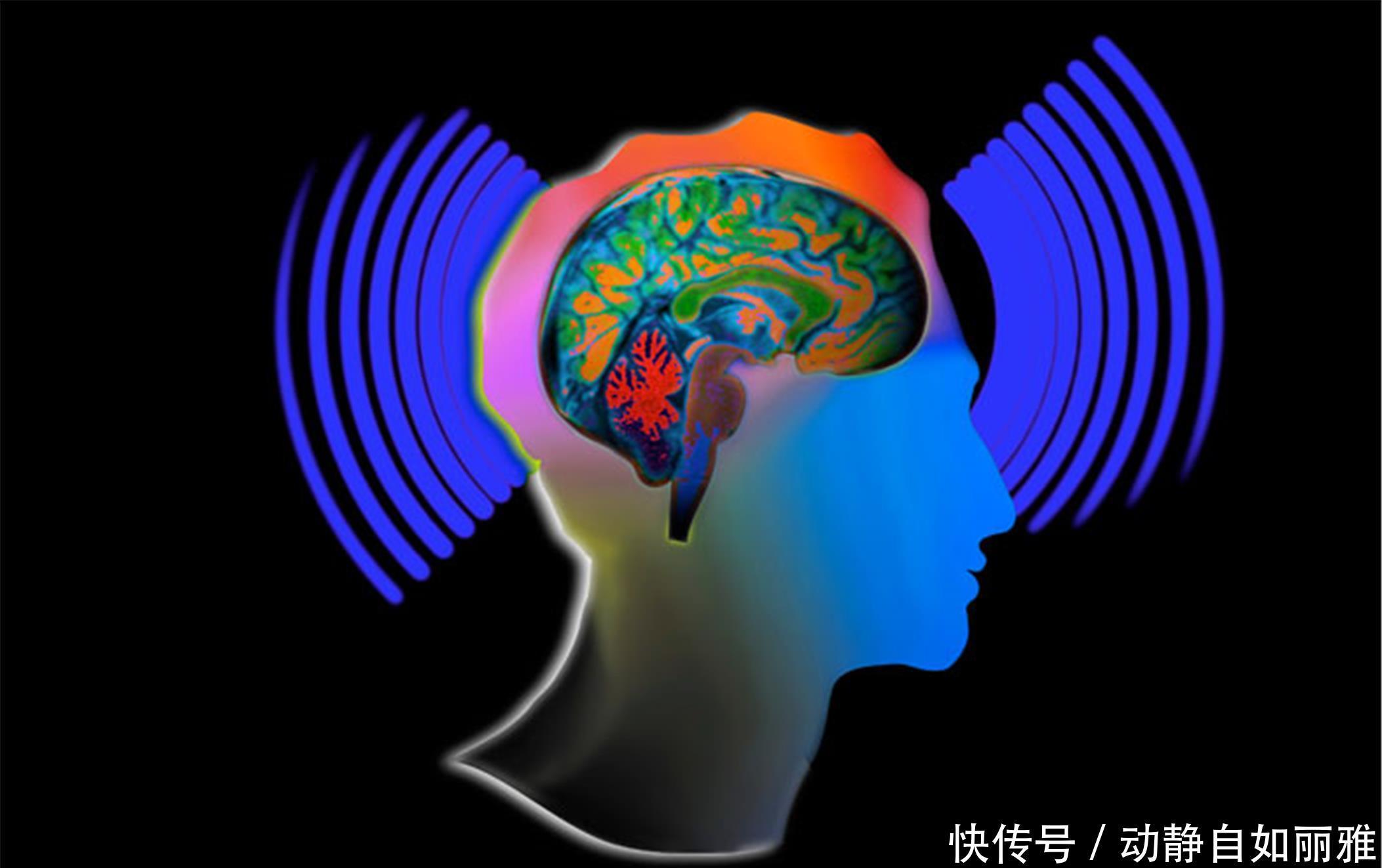 大脑|不瞒你说:大脑喜爱这9种食物,40岁后不妨多吃,远离老年痴呆