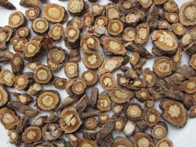 方子|让你一生牙齿坚固,从乡下老中医学来的方子,搞定牙齿疏松