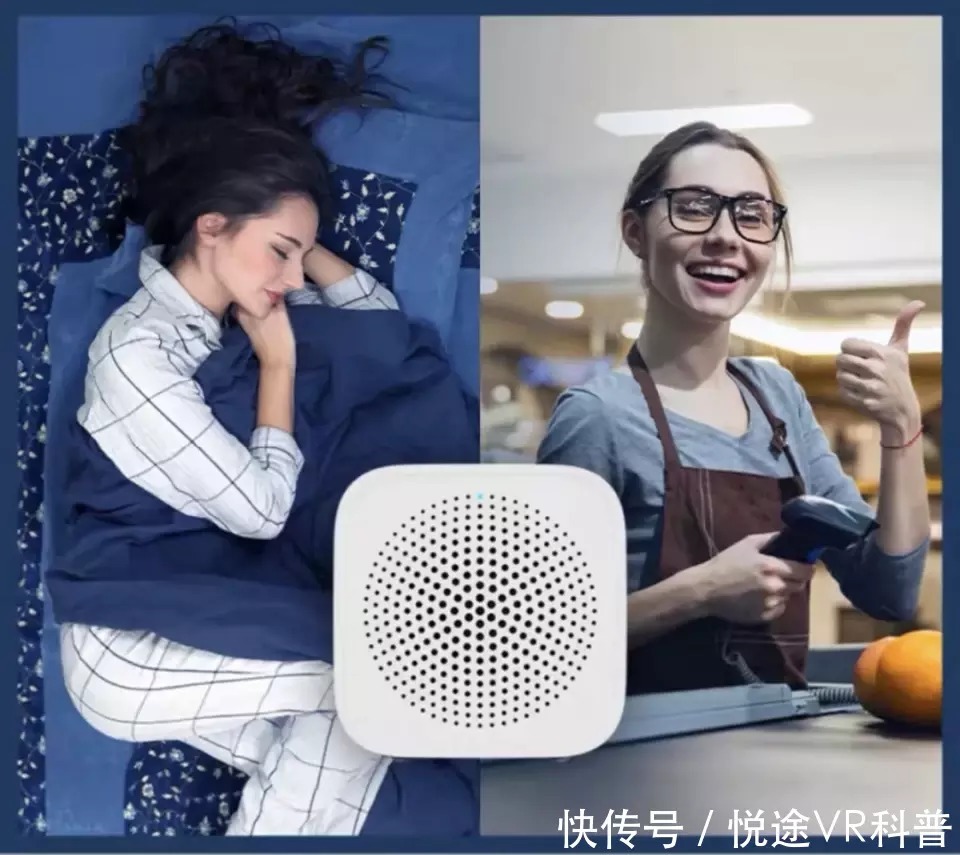 研究化石,趣味定向,植物压花!番禺公园科普活动继续神奇旅程!