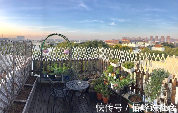 13㎡屋顶造花园,在喧嚣城市里,打造一个自己心灵深处的伊甸园