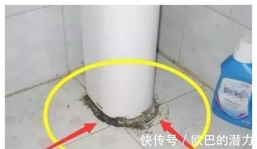 玻璃胶用久会“变黑”?保洁阿姨的“小妙招”,立马洁净还杀菌