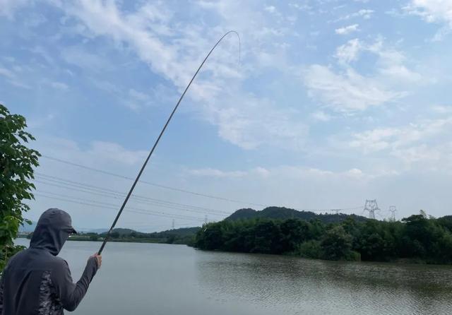 饵料|跟着大师学钓鱼,越学越钓不到鱼?我来告诉你几个真相