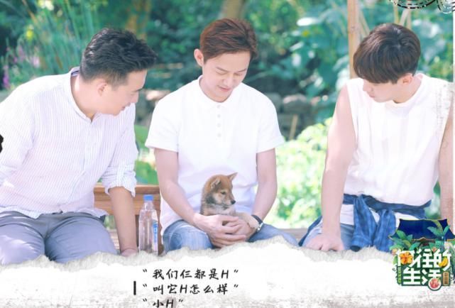 城市版《向往》路透曝光,宋丹丹來還好,沒想到這位大佬也要來