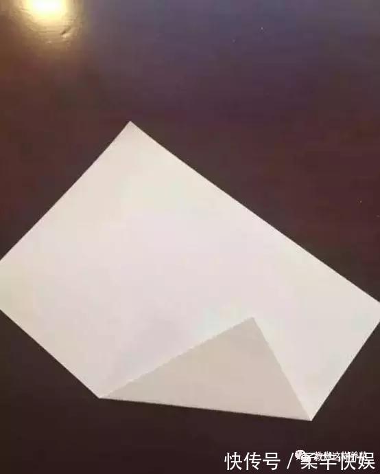 塑料瓶别扔了，用来养花真是神器！可别浪费了！