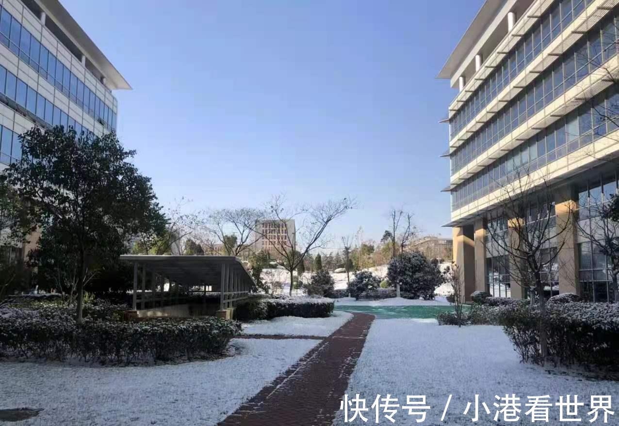 父母|子女不用再争房子，2021年开始，父母的房子全部按新规来继承